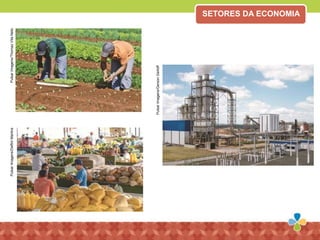 PulsarImagens/ThomazVitaNeto
PulsarImagens/GersonGerloff
PulsarImagens/DelfimMartins
SETORES DA ECONOMIA
 