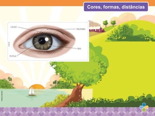 Cores, formas, distâncias
FabianaSalomão
P.R.E.
 