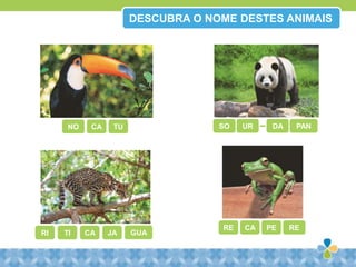 CA RERE PE
CA GUATI
SOTUNO CA UR DA PAN
JA
DESCUBRA O NOME DESTES ANIMAIS
RI
 