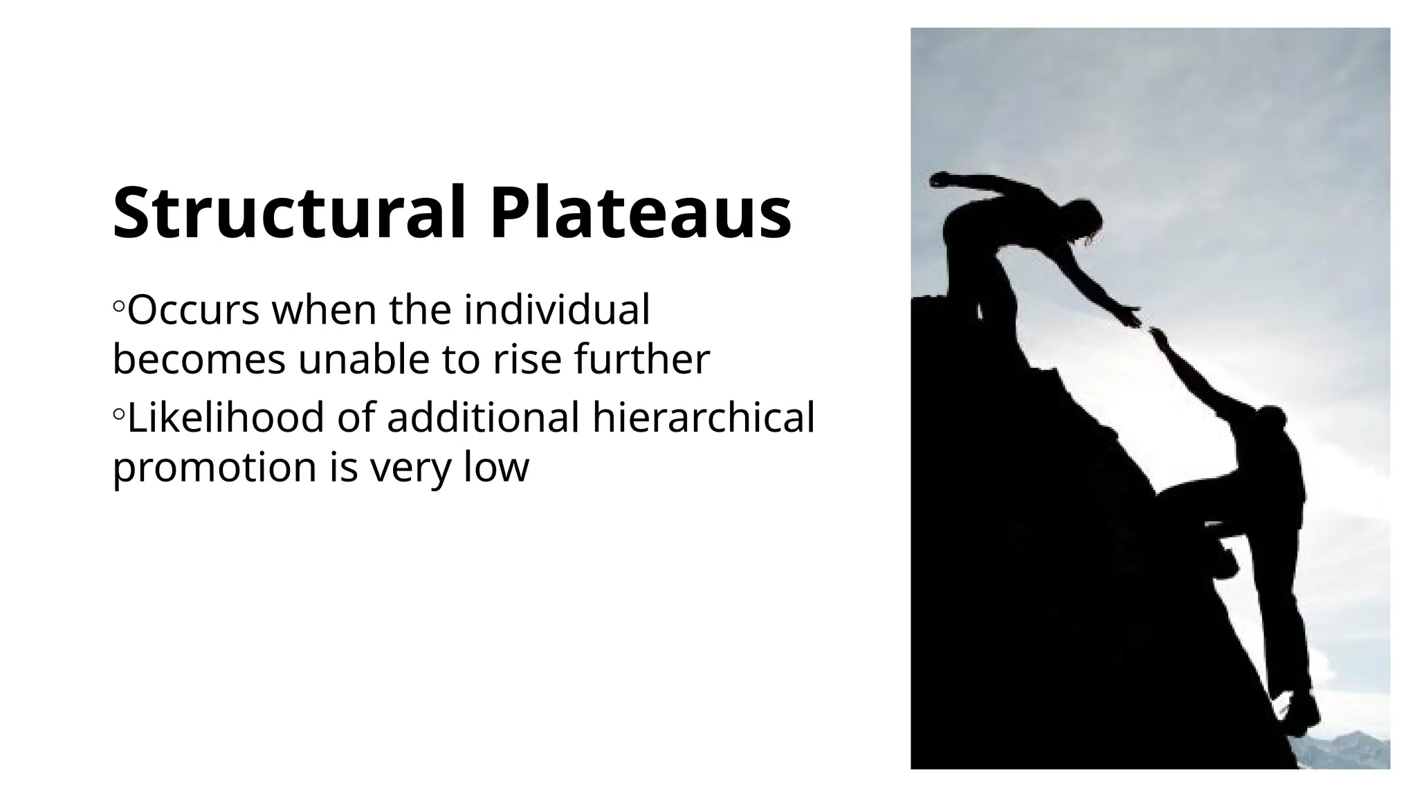 Structural Plateaus
◦Occurs when the individual
becomes unable to rise further
◦Likelihood of additional hierarchical
promotion is very low
 