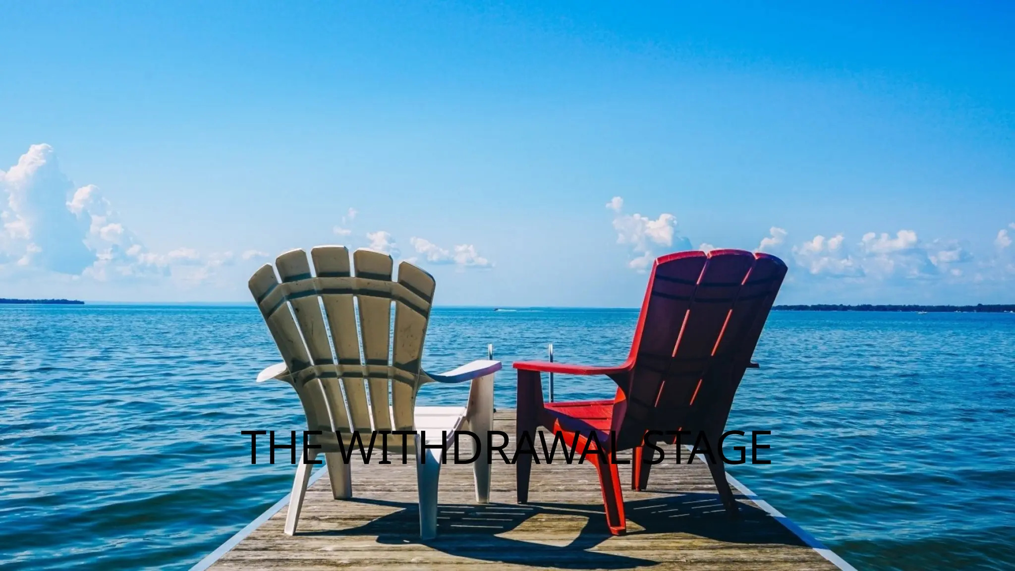 THE WITHDRAWAL STAGE
 