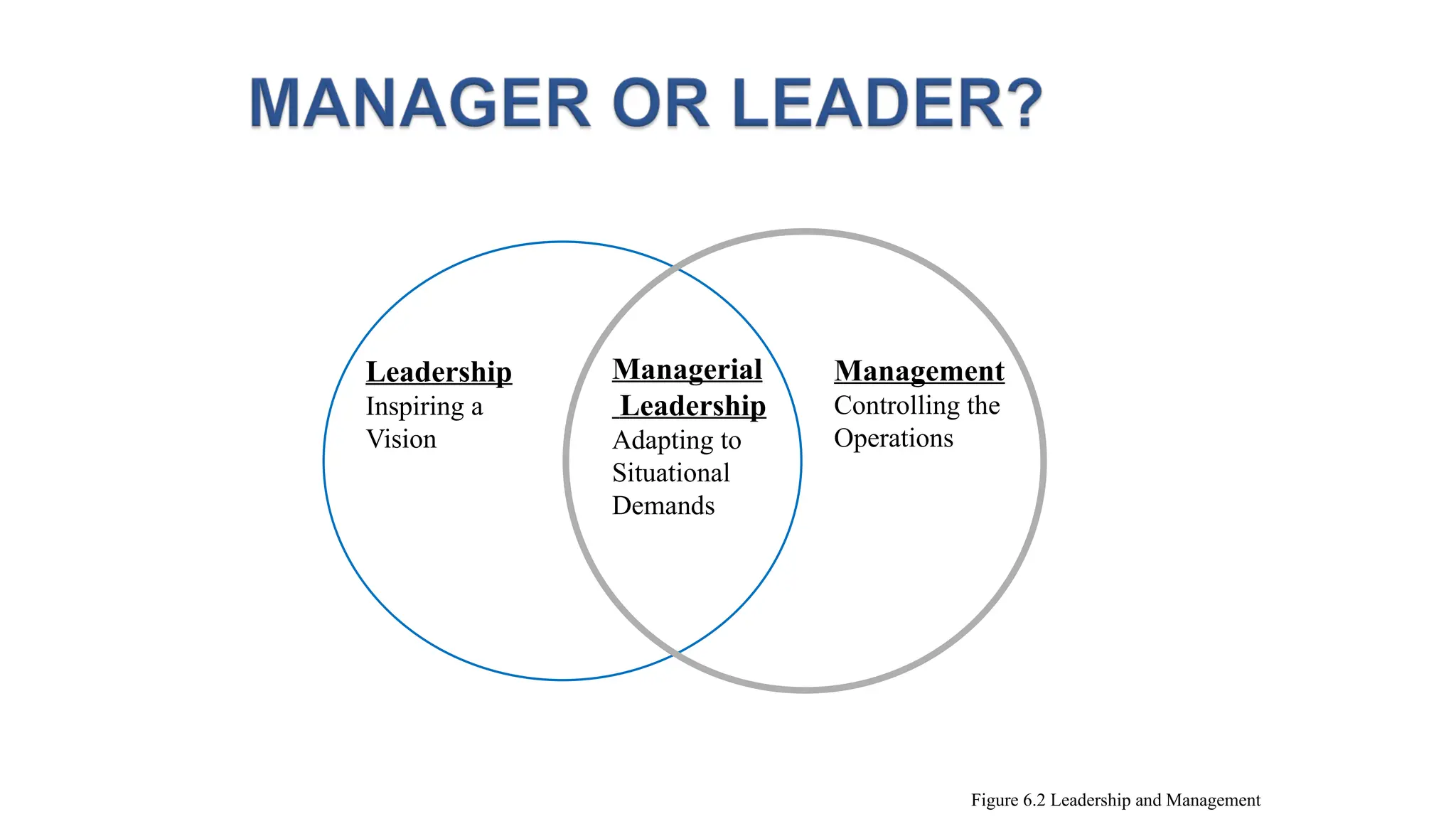 Leadership
Inspiring a
Vision
Managerial
Leadership
Adapting to
Situational
Demands
Management
Controlling the
Operations
Figure 6.2 Leadership and Management
 