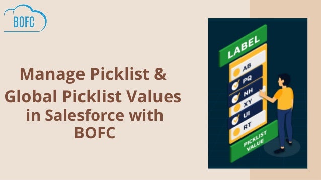 Manage Picklist &

Global Picklist Values
in Salesforce with
BOFC
 
