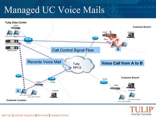 Tulip Managed Unified Communication Solutions
