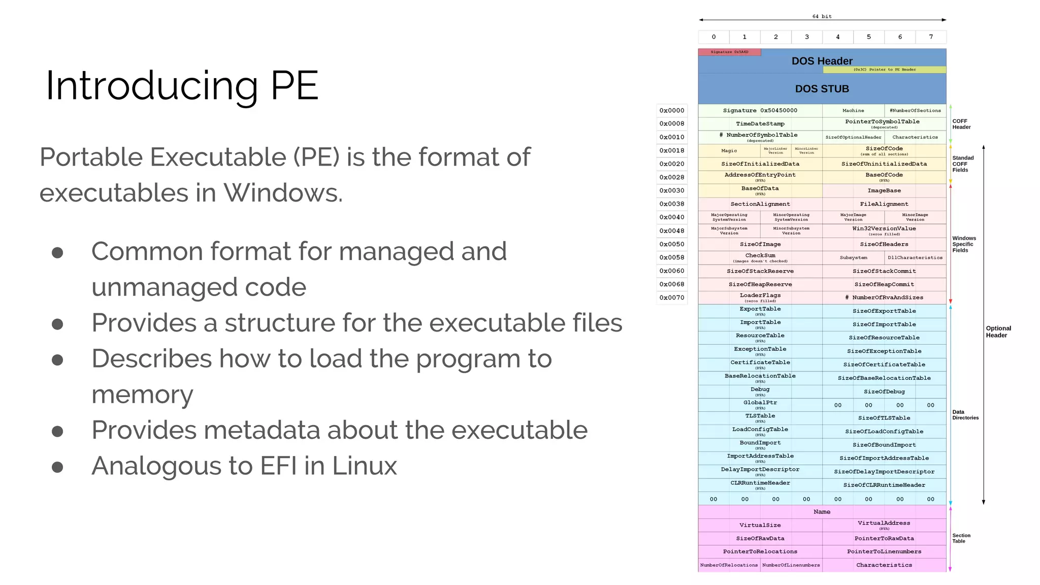 Introducing PE ● ● ● ● ● 