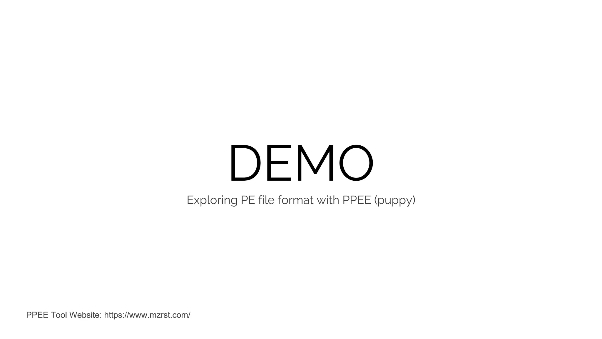 DEMOExploring PE file format with PPEE (puppy) PPEE Tool Website: https://www.mzrst.com/ 
