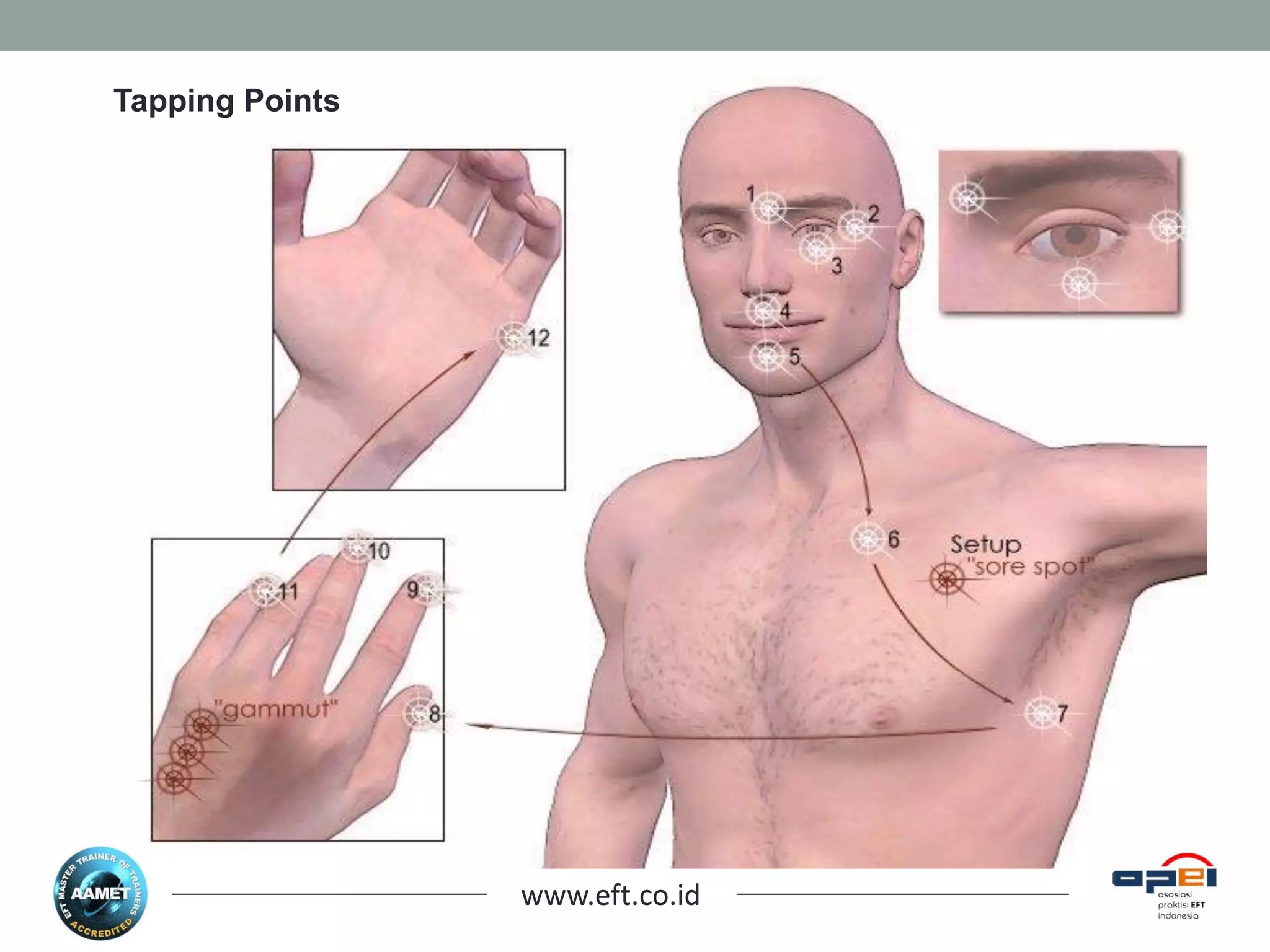 www.eft.co.id
Tapping Points
 