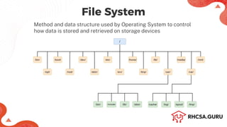 Manage Files Using CLI - RHCSA (RH124).pdf