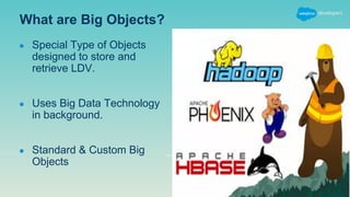 What are Big Objects?
● Special Type of Objects
designed to store and
retrieve LDV.
● Uses Big Data Technology
in background.
● Standard & Custom Big
Objects
 