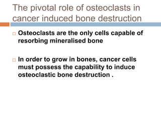 The pivotal role of osteoclasts in
cancer induced bone destruction
 Osteoclasts are the only cells capable of
resorbing mineralised bone
 In order to grow in bones, cancer cells
must possess the capability to induce
osteoclastic bone destruction .
 