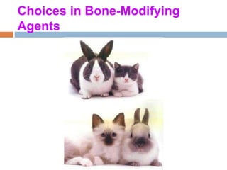 Choices in Bone-Modifying
Agents
 