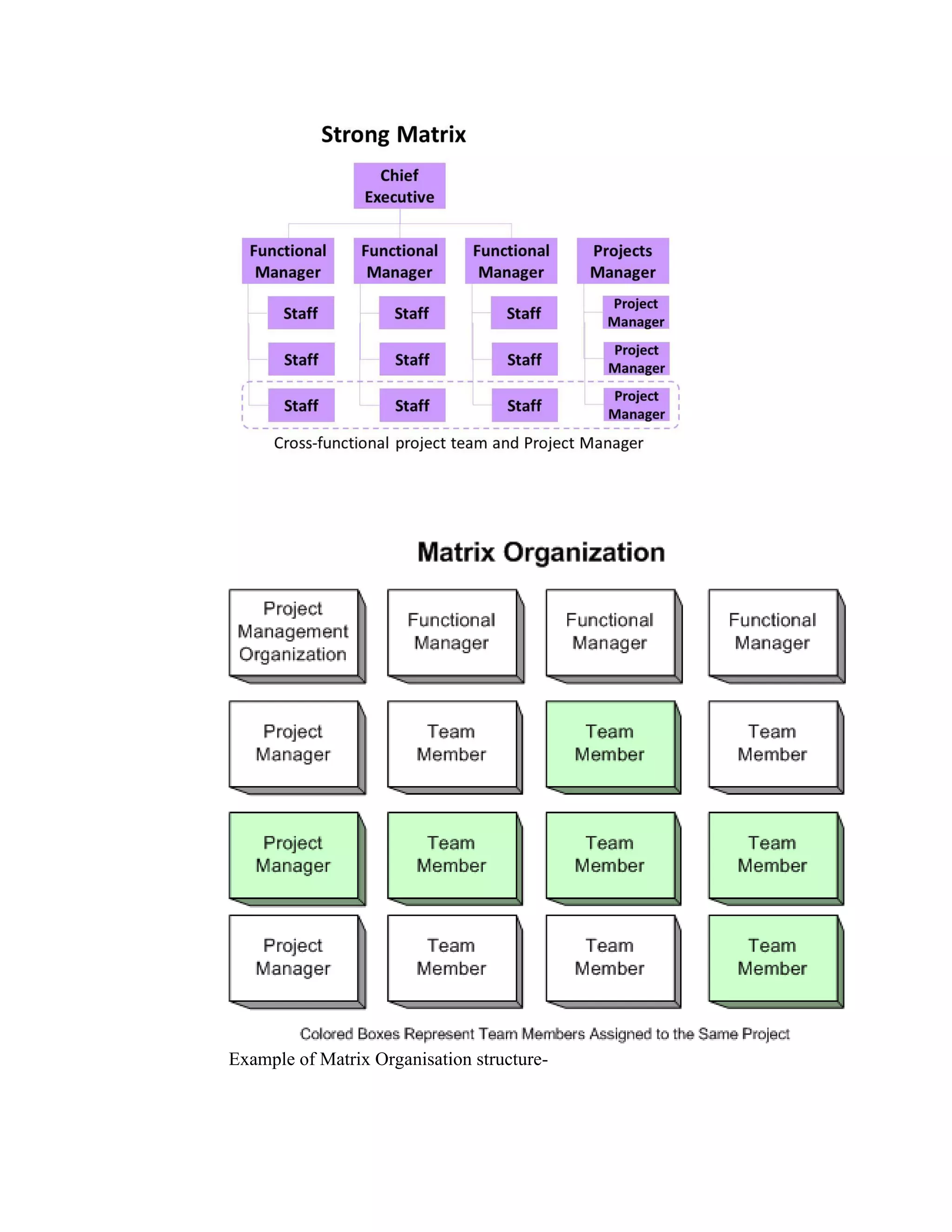 Example of Matrix Organisation structure-
 