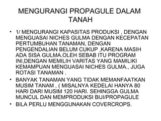 MENGURANGI PROPAGULE DALAM
TANAH
• 1/ MENGURANGI KAPASITAS PRODUKSI , DENGAN
MENGUASAI NICHES GULMA DENGAN KECEPATAN
PERTUMBUHAN TANAMAN, DENGAN
PENGENDALIAN BELUM CUKUP ,KARENA MASIH
ADA SISA GULMA.OLEH SEBAB ITU PROGRAM
INI,DENGAN MEMILIH VARITAS YANG MAMILIKI
KEMAMPUAN MENGUASAI NICHES GULMA., JUGA
ROTASI TANAMAN .
• BANYAK TANAMAN YANG TIDAK MEMANFAATKAN
MUSIM TANAM , ( MISALNYA KEDELAI HANYA 80
HARI DARI MUSIM 120 HARI. SEHINGGA GULMA
MUNCUL DAN MEMPRODUKSI BIJI/PROPAGULE
• BILA PERLU MENGGUNAKAN COVERCROPS.
 