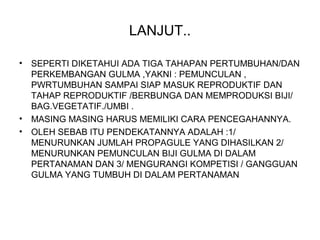 LANJUT..
• SEPERTI DIKETAHUI ADA TIGA TAHAPAN PERTUMBUHAN/DAN
PERKEMBANGAN GULMA ,YAKNI : PEMUNCULAN ,
PWRTUMBUHAN SAMPAI SIAP MASUK REPRODUKTIF DAN
TAHAP REPRODUKTIF /BERBUNGA DAN MEMPRODUKSI BIJI/
BAG.VEGETATIF./UMBI .
• MASING MASING HARUS MEMILIKI CARA PENCEGAHANNYA.
• OLEH SEBAB ITU PENDEKATANNYA ADALAH :1/
MENURUNKAN JUMLAH PROPAGULE YANG DIHASILKAN 2/
MENURUNKAN PEMUNCULAN BIJI GULMA DI DALAM
PERTANAMAN DAN 3/ MENGURANGI KOMPETISI / GANGGUAN
GULMA YANG TUMBUH DI DALAM PERTANAMAN
 