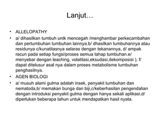 Lanjut…
• ALLELOPATHY
• a/ dihasilkan tumbuh untk mencegah /menghambar perkecambahan
dan pertumbuhan tumbuhan lainnya.b/ dhasilkan tumbuhannya atau
residunya c/kunatitasnya selaras dengan tekanannya, d/ ampak
racun pada setiap fungsi/proses semua tahap tumbuhan.e/
menyebar dengan leaching, volatilasi,eksudasi,dekomposisi ), f/
dapat ditelusur asal nya dalam proses metabolisme tumbuhan
penghasilnya.
• AGEN BIOLOGI
• a/ musuh alami gulma adalah insek, penyakit tumbuhan dan
nematoda,b/ memakan bunga dan biji,c/keberhasilan pengendalian
dengan introduksi penyakit gulma dengan hanya sekali aplikasi.d/
diperlukan beberapa tahun untuk mendapatkan hasil nyata.
 