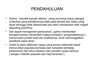 PENDAHULUAN
• Gulma : memiliki banyak definisi , yang umumnya setuju sebagai
tumbuhan yang kehadirannya tidak pada tempat dan waktu yang
tepat sehingga tidak dikehendaki dan lebih memberikan efek negatif
dibanding positifnya.
• Dari aspek managemen pertanaman , gulma memberikan
kerugian,karena menambah ongkos produksi ( pengendaliannya ),
menurunkan jumlah hasil dan kualitasnya, serta memninggalkan
seedbank pada lahan.
• Untuk itu perlu dilakukan upaya yang secara sistematis dapat
menurunkan populasi,biomassa dan kompetisi terhadap
pertanaman dari tahun ketahun dan semakin nyata hasilnya
( dengan indikator populasi dan hasil tanaman ).
 
