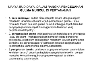 UPAYA BUDIDAYA, DALAM RANGKA PENCEGAHAN
GULMA MUNCUL DI PERTANAMAN
• 1. cara budidaya : sedikit merubah pola tanam ,dengan segera
menanam tanaman sebelum terjadi pemunculan gulma , / atau
menunda tanam sesudah gulma muncul sehingga dapat dilakukan
penyiapangan lebih cepat ;/ menggunakan tanaman yang
berpotensi allelopathy .
• 2. pengendalian gulma :mengaplikasikan herbisida pre-emergence
, atau pre-plant , /mengaplikasikan kompos/ residu berpotensi
allelopathy, /; sebelum pelaksanaan menanam lakukan pematahan
dormansi biji biji/ propagule  kemudian lakukan penghancuran
kecambah biji yang muncul dipermukaan lahan.
• 3.pengolahan tanah : usahakan propagule terbenam dalam dalam
ke dalam tanah;/ undurkan kegiatan pengolahan terakhir , dengan
mencoba kembali mengubur propagule vegetatif se dalam
dalamnya ke dalam tanah.
 