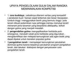 UPAYA PENGELOLAAN GULM DALAM RANGKA
MEMINIMALKAN KOMPETISI
• 1. cara budidaya : sebaiknya ditanam veritas yang kompetitif
( perakaran kuat / kanopi cepat terbentuk dan besar /kecepatan
tumbuh tinggi / menggunakan benih yang bermutu tinggi / pola
tanam dibuat sedemikian rupa sehingga mampu menutup tanah/
menanam jenis tanaman yang berpotensi allelopathy, terkait
dengan gulma yang menjadi masalah.
• 2. pengendalian gulma :mengaplikasikan herbisida port-
emergence, merubah rubah jenis herbisida yang digunakan ,
mengidentifikasi dan melepad kemungkinan ada agen biotik yang
dapat dipakai untuk menekan populasi gulma
• 3.pengolahan tanah : mempelajari kemungkinan perubahan
dominasi gulma karena terjadinya perubahan program pengolahan
tanah, dan lakukan diatisipasi dengan penyesuaian cara
pengolahan tanah.
 