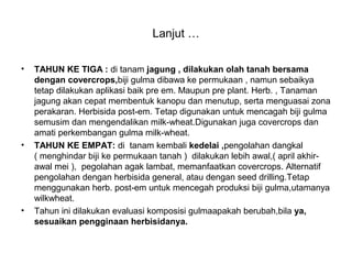 Lanjut …
• TAHUN KE TIGA : di tanam jagung , dilakukan olah tanah bersama
dengan covercrops,biji gulma dibawa ke permukaan , namun sebaikya
tetap dilakukan aplikasi baik pre em. Maupun pre plant. Herb. , Tanaman
jagung akan cepat membentuk kanopu dan menutup, serta menguasai zona
perakaran. Herbisida post-em. Tetap digunakan untuk mencagah biji gulma
semusim dan mengendalikan milk-wheat.Digunakan juga covercrops dan
amati perkembangan gulma milk-wheat.
• TAHUN KE EMPAT: di tanam kembali kedelai ,pengolahan dangkal
( menghindar biji ke permukaan tanah ) dilakukan lebih awal,( april akhir-
awal mei ), pegolahan agak lambat, memanfaatkan covercrops. Alternatif
pengolahan dengan herbisida general, atau dengan seed drilling.Tetap
menggunakan herb. post-em untuk mencegah produksi biji gulma,utamanya
wilkwheat.
• Tahun ini dilakukan evaluasi komposisi gulmaapakah berubah,bila ya,
sesuaikan pengginaan herbisidanya.
 