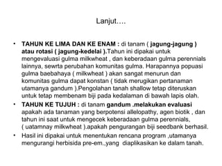 Lanjut….
• TAHUN KE LIMA DAN KE ENAM : di tanam ( jagung-jagung )
atau rotasi ( jagung-kedelai ).Tahun ini dipakai untuk
mengevaluasi gulma milkwheat , dan keberadaan gulma perennials
lainnya, sewrta perubahan komunitas gulma. Harapannya popuasi
gulma baebahaya ( milkwheat ) akan sangat menurun dan
komunitas gulma dapat konstan ( tidak merugikan pertanaman
utamanya gandum ).Pengolahan tanah shallow tetap diteruskan
untuk tetap membenam biji pada kedalaman di bawah lapis olah.
• TAHUN KE TUJUH : di tanam gandum .melakukan evaluasi
apakah ada tanaman yang berpotensi allelopathy, agen biotik , dan
tahun ini saat untuk mengecek keberadaan gulma perennials,
( uatamnay milkwheat ).apakah pengurangan biji seedbank berhasil.
• Hasil ini dipakai untuk menentukan rencana program ,utamanya
mengurangi herbisida pre-em.,yang diaplikasikan ke dalam tanah.
 