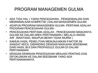 PROGRAM MANAGEMEN GULMA
• ADA TIGA HAL ( YAKNI PENCEGAHAN , PENGENDALIAN DAN
MEMINIMALKAN KOMPETISI ) DALAM MANAGEMEN GULMA
• ADAPUN PROGRAM MANAGEMEN GULMA :PERTAMA ADALAH
PROGRAM PENCEGAHAN GULMA :
• PENCEGAHAN PERTAMA ADALAH , PENCEGAHAN MASUKNYA
GULMA KE DALAM AREA PERTANAMAN ( MELALUI ANGIN,
AIR , BINATANG, MAUPUN BENIH TIDAK MURNI )
• NAMUN HASIL PENELITIAN MENUNJUKKAN FAKTOR INI
SANGAT KECIL DIBANDING DENGAN MASUKAN SEEDBANK
DARI HASIL BIJI DAN PROPAGULE GULMA DI DALAM
PERTANAMAN.
• DENGAN DEMIKIAN PENCEGAHAN MENJADI PENTING DAN
DIFOKUSKAN KE DALAM SEEDBANK YANG ADA
PERTANAMANNYA.
 