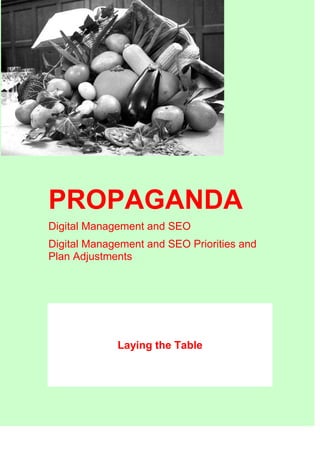 PROPAGANDA
Digital Management and SEO
Digital Management and SEO Priorities and
Plan Adjustments
Laying the Table
 