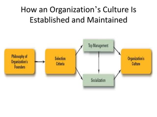 How an Organization’s Culture Is
Established and Maintained
 