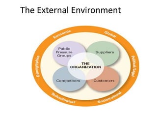 The External Environment
 