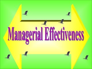 Managerial Effectiveness 
