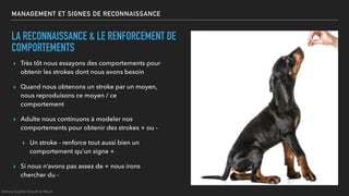 MANAGEMENT ET SIGNES DE RECONNAISSANCE
LA RECONNAISSANCE & LE RENFORCEMENT DE
COMPORTEMENTS
▸ Très tôt nous essayons des comportements pour
obtenir les strokes dont nous avons besoin
▸ Quand nous obtenons un stroke par un moyen,
nous reproduisons ce moyen / ce
comportement
▸ Adulte nous continuons à modeler nos
comportements pour obtenir des strokes + ou -
▸ Un stroke - renforce tout aussi bien un
comportement qu’un signe +
▸ Si nous n’avons pas assez de + nous irons
chercher du -
©Anne-Sophie Girault le Mault
 