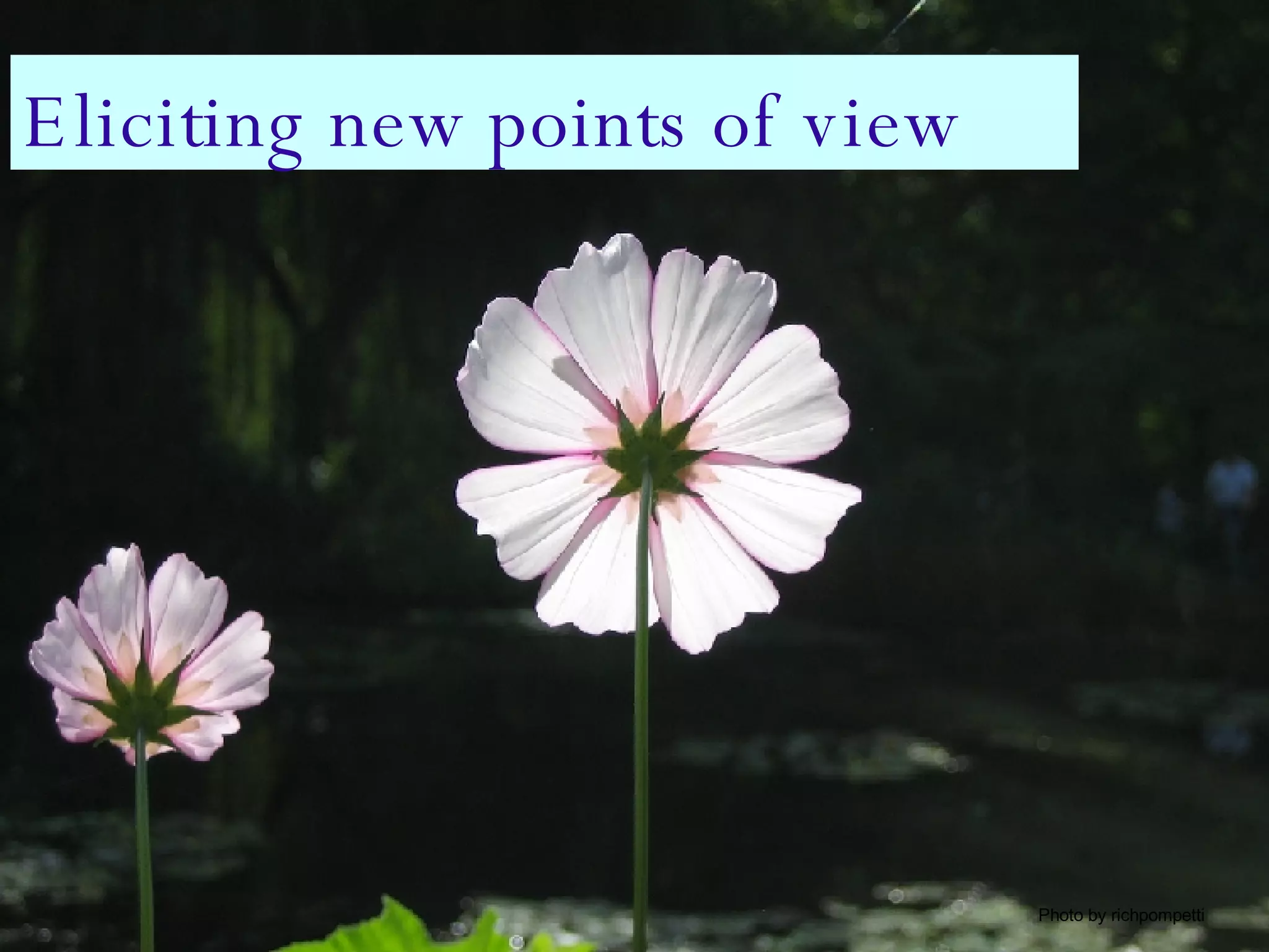 Eliciting new points of view Photo by richpompetti