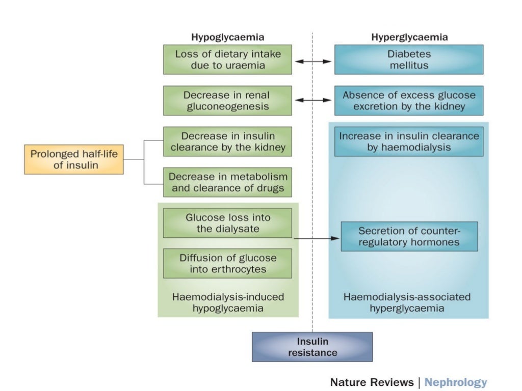Management of Diabetes in Hemodialysis Patients