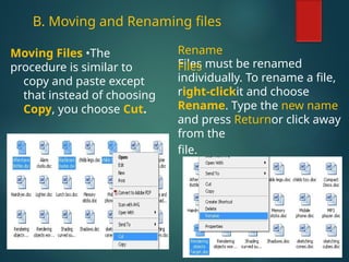 Cut Copy Rename Management of Files and Folders for nursing and midwifery | PPTX