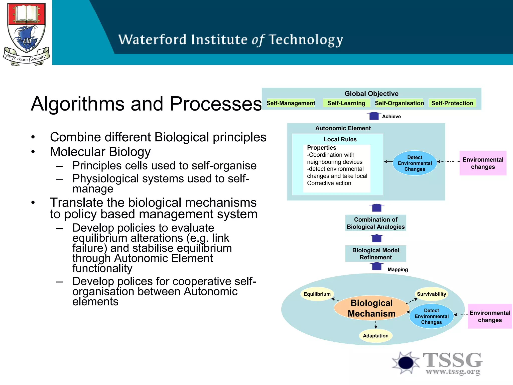Algorithms and Processes Combine different Biological principles  Molecular Biology  Principles cells used to self-organise Physiological systems used to self-manage  Translate the biological mechanisms to policy based management system Develop policies to evaluate equilibrium alterations (e.g. link failure) and stabilise equilibrium through Autonomic Element functionality  Develop polices for cooperative self-organisation between Autonomic elements 