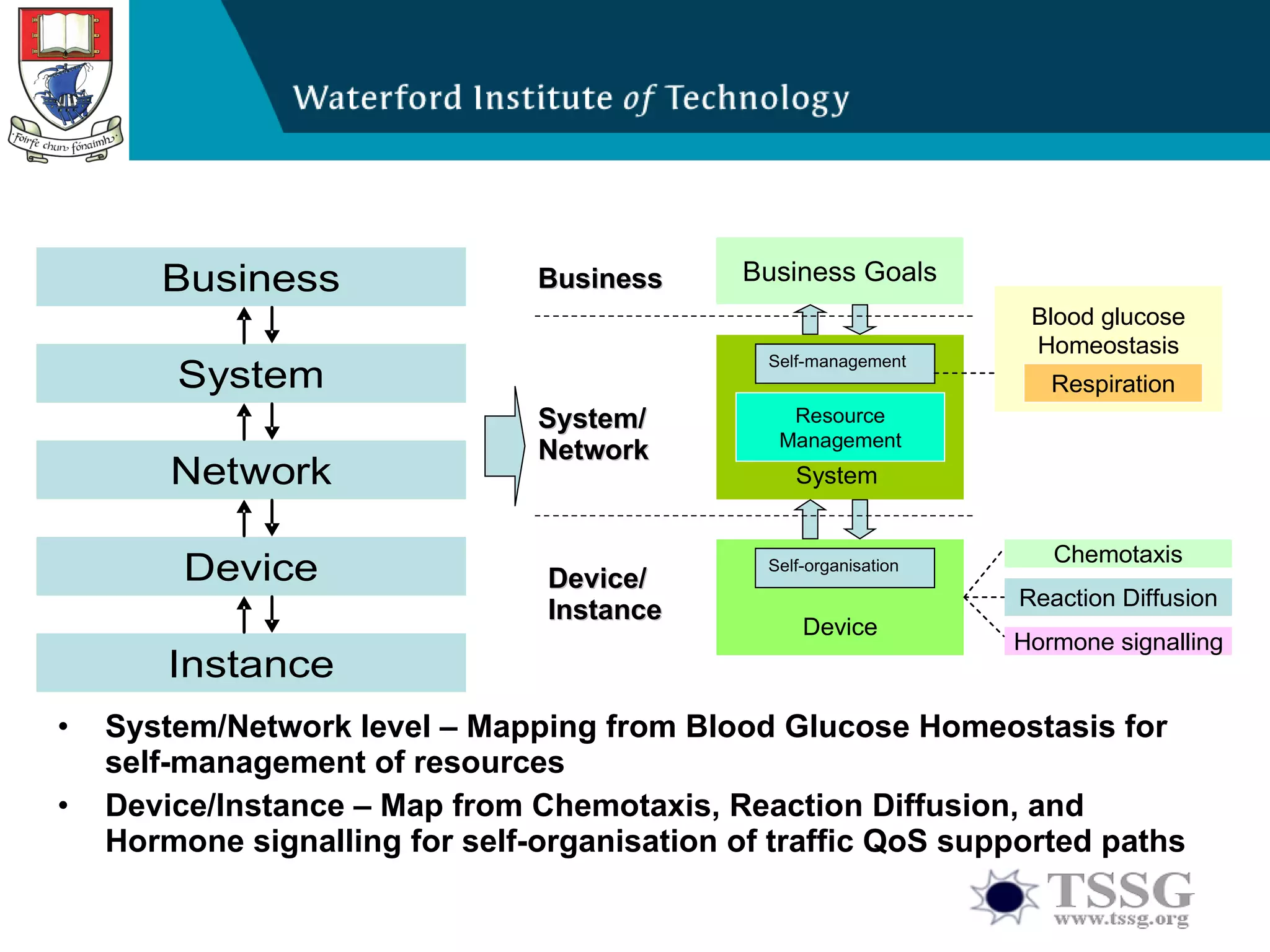 System/Network level – Mapping from Blood Glucose Homeostasis for self-management of resources Device/Instance – Map from Chemotaxis, Reaction Diffusion, and Hormone signalling for self-organisation of traffic QoS supported paths Business System/ Network Device/ Instance 