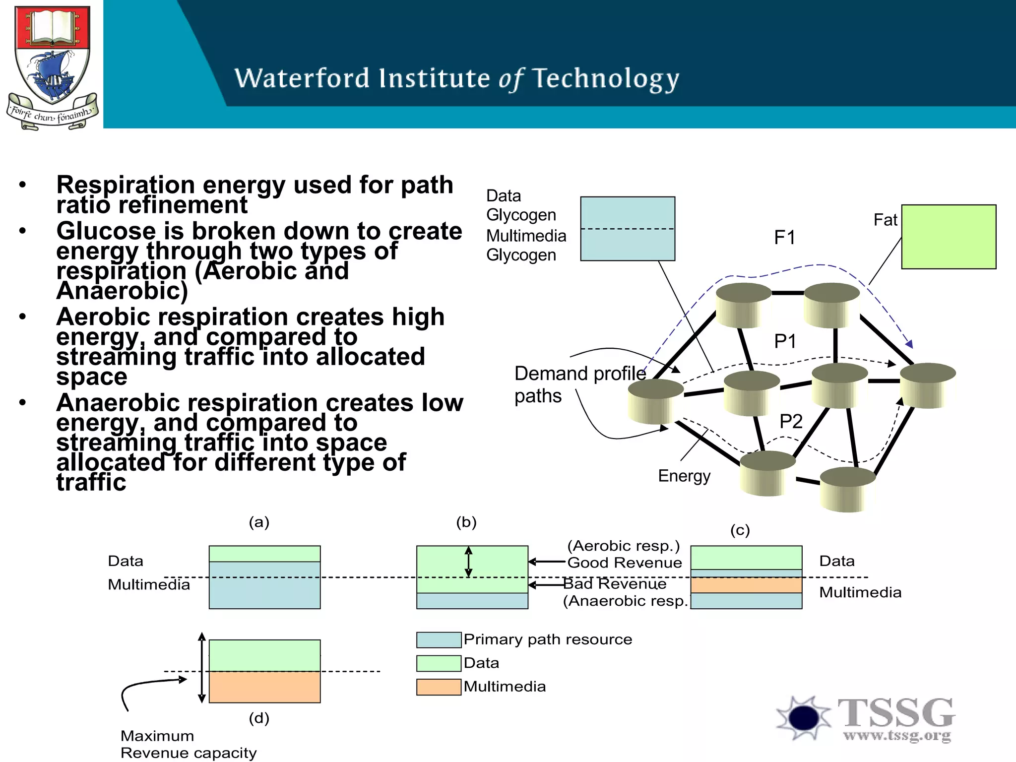 Respiration energy used for path ratio refinement Glucose is broken down to create energy through two types of respiration (Aerobic and Anaerobic) Aerobic respiration creates high energy, and compared to streaming traffic into allocated space Anaerobic respiration creates low energy, and compared to streaming traffic into space allocated for different type of traffic Multimedia Glycogen P1 P2 Demand profile paths Data Glycogen Fat F1 Energy 
