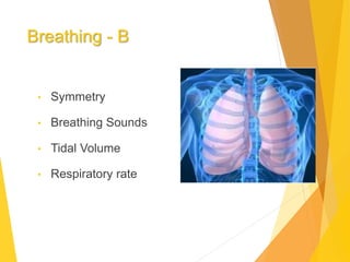 Breathing - B
• Symmetry
• Breathing Sounds
• Tidal Volume
• Respiratory rate
 
