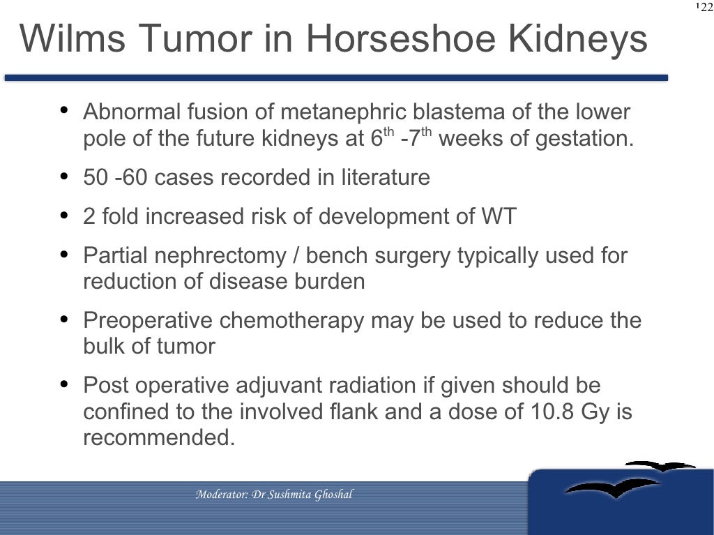 Management of Wilms Tumors