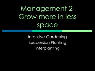 Management 2  Grow more in less space Intensive Gardening Succession Planting Interplanting 