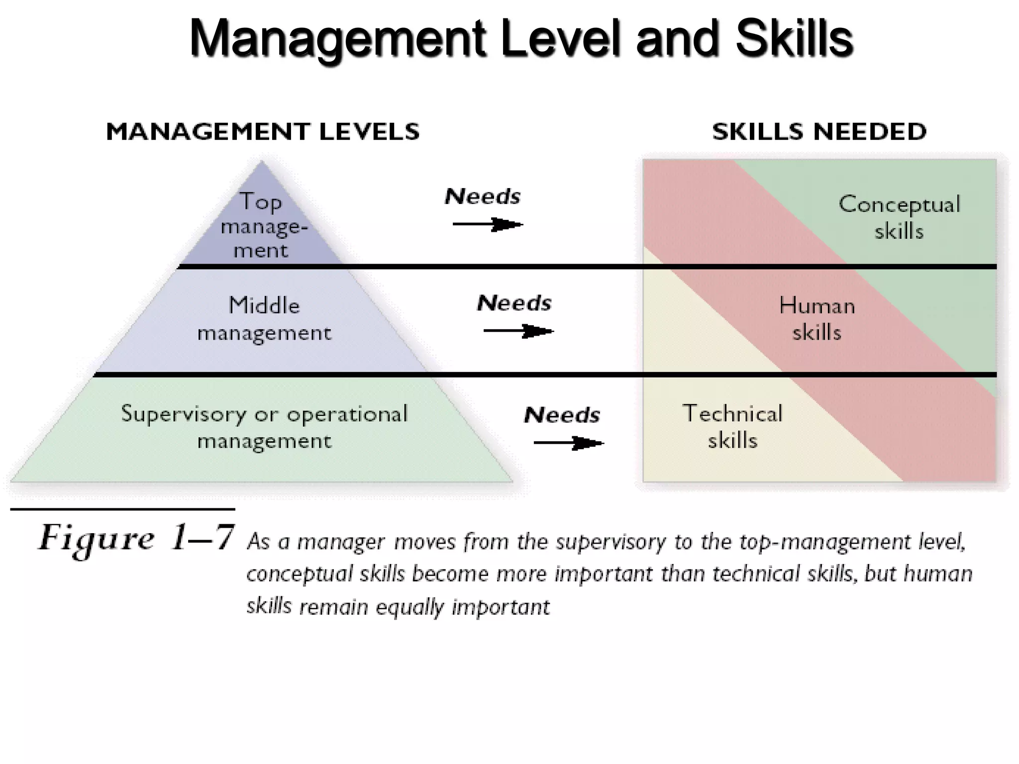 Management Level and Skills
 