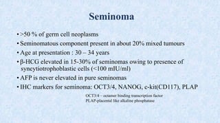 MANAGEMENT 0F SEMINOMA CURRENT STATUS AND FUTURE DIRECTIONS.pdf