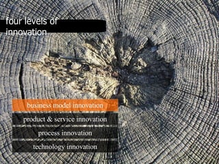 four levels of innovation business model innovation product & service innovation process innovation technology innovation 