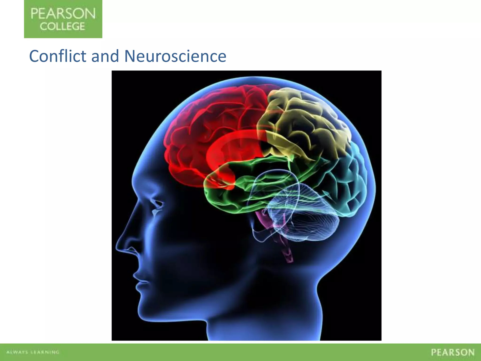 Conflict and Neuroscience 
 