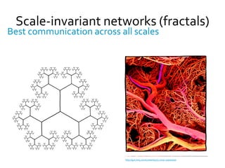 Scale-invariant networks (fractals)
Best communication across all scales




                            http://gut.bmj.com/content/57/7.cover-expansion
 