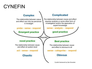CYNEFIN
 
