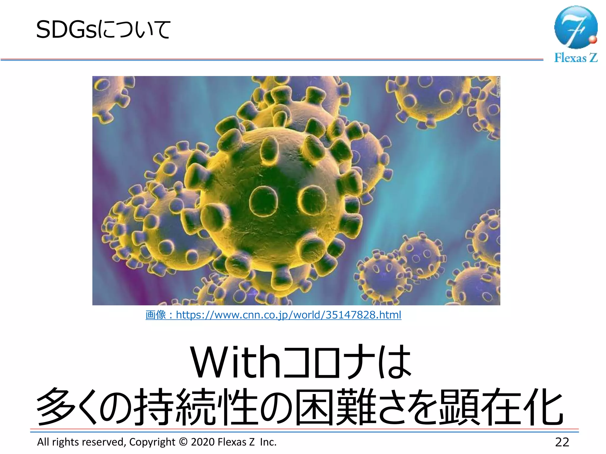 All rights reserved, Copyright © 2020 Flexas Z Inc.
SDGsについて
22
Withコロナは
多くの持続性の困難さを顕在化
画像：https://www.cnn.co.jp/world/35147828.html
 
