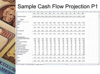 Sample Cash Flow Projection P1
 