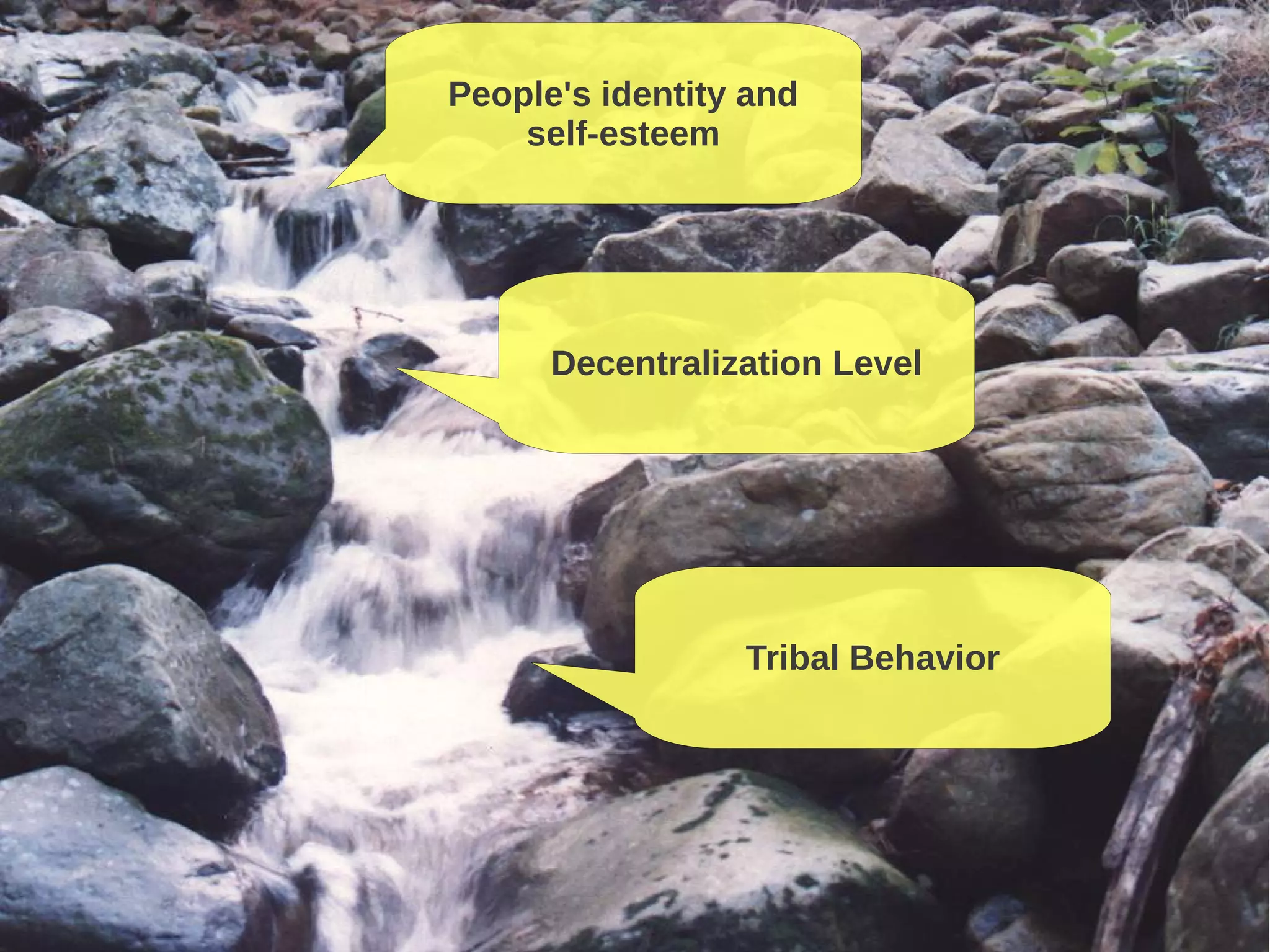 Tribal Behavior
People's identity and
self-esteem
Decentralization Level
 