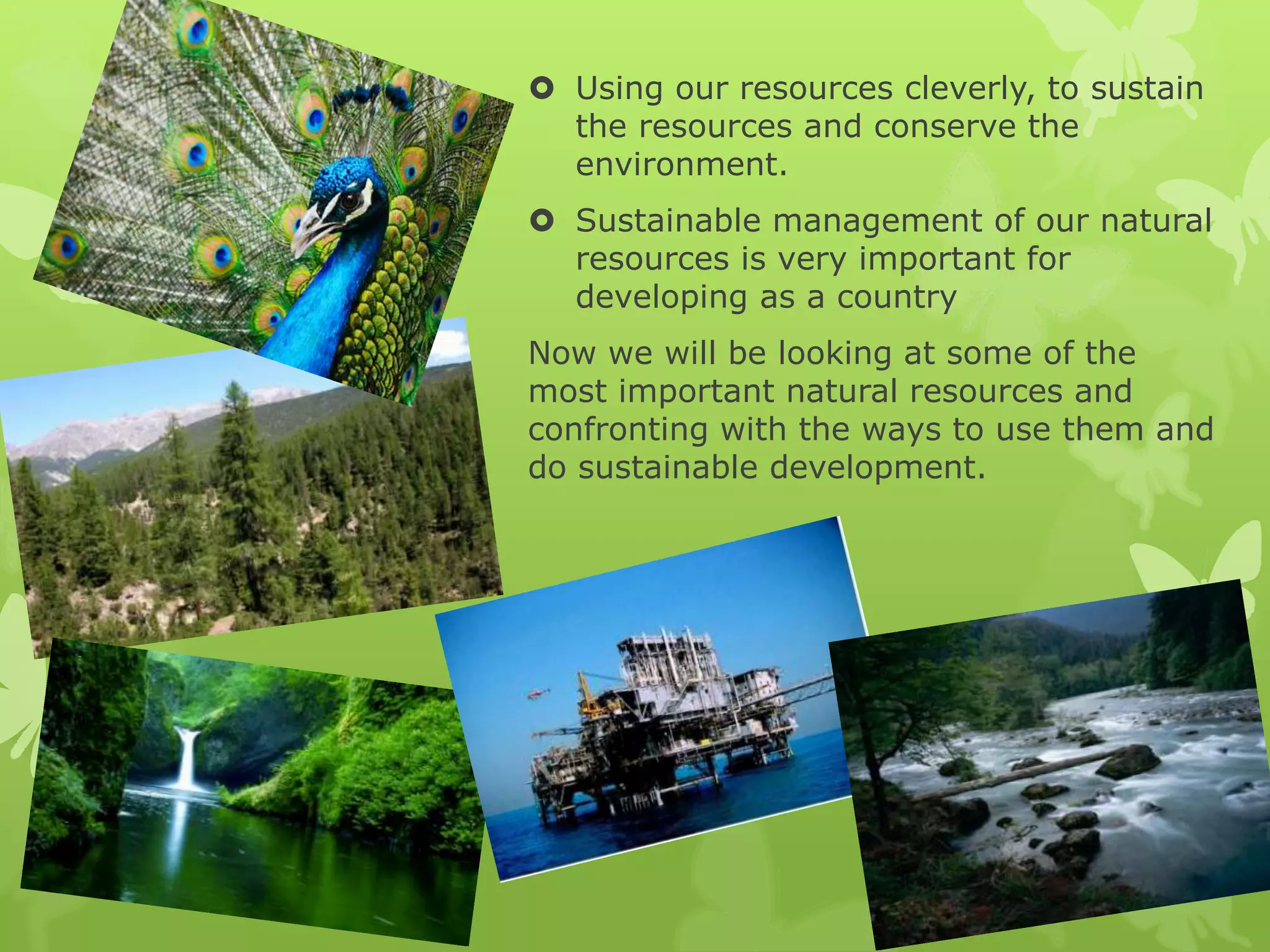 Management ayush | PPT