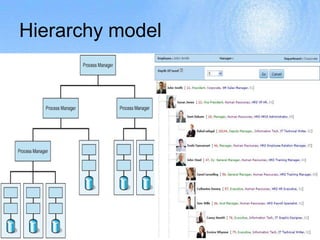 Hierarchy model